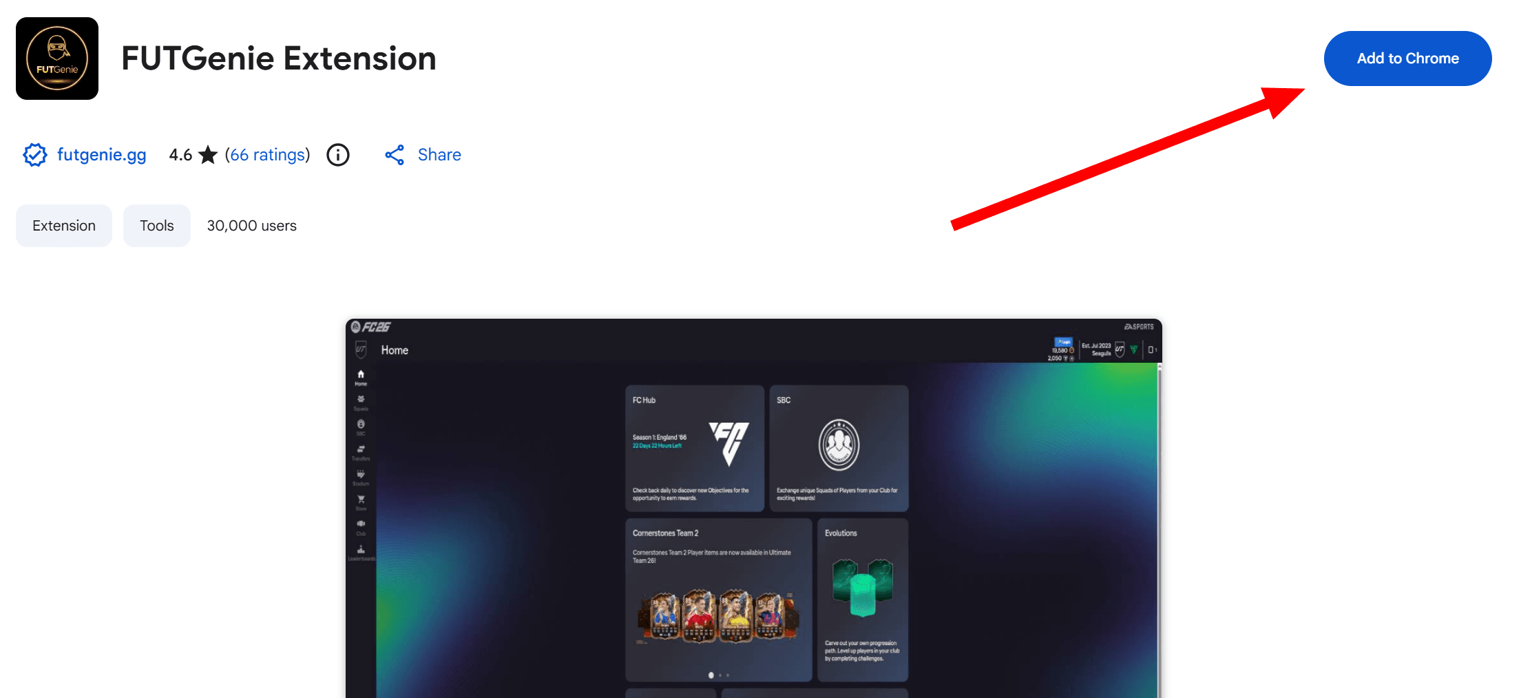 Chrome Web Store Page