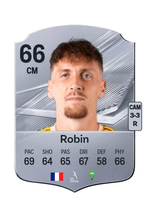 Robin