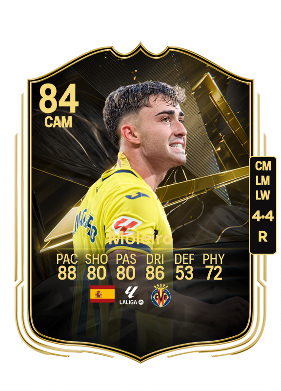 Moleiro