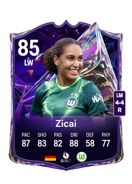 Zicai