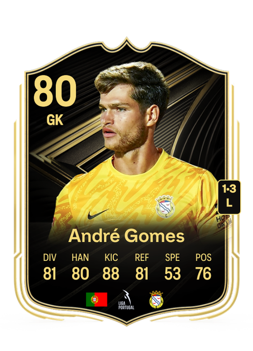 André Nogueira Gomes