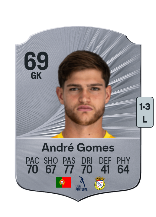 André Nogueira Gomes