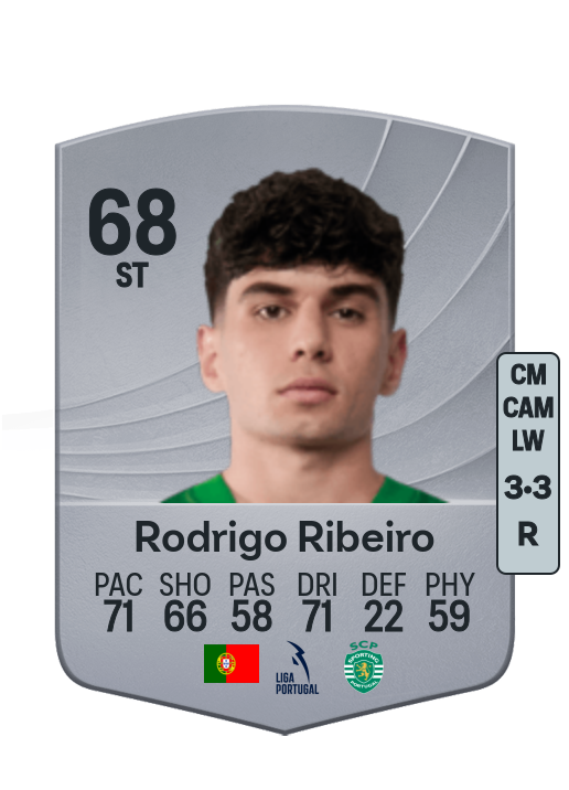 Rodrigo Duarte Ribeiro