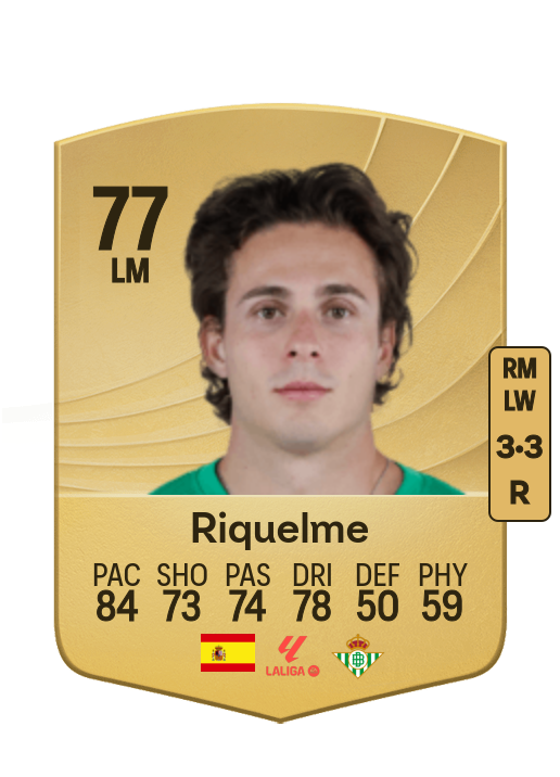 Rodrigo Riquelme Reche