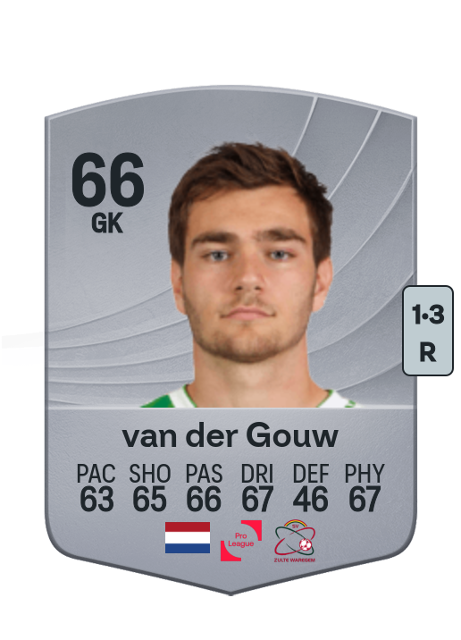 Ennio van der Gouw