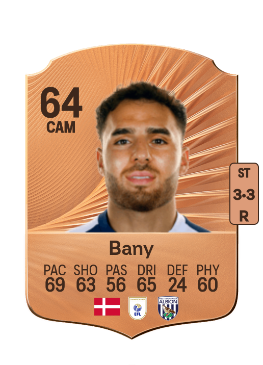 Tammer Bany