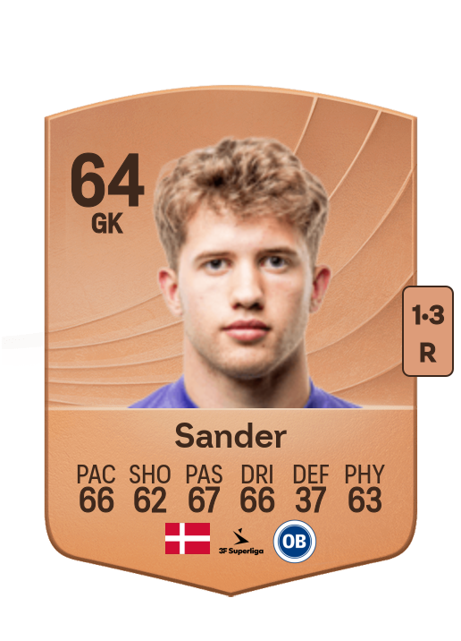 Theo Sander