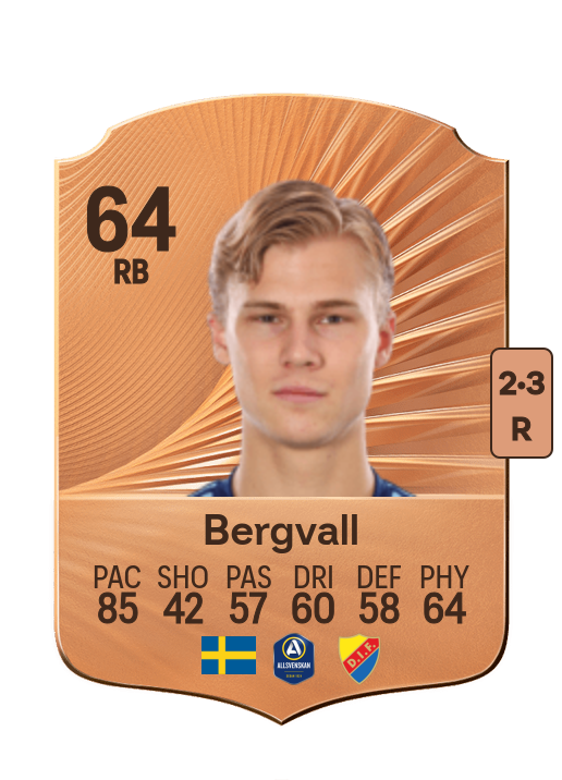 Theo Bergvall