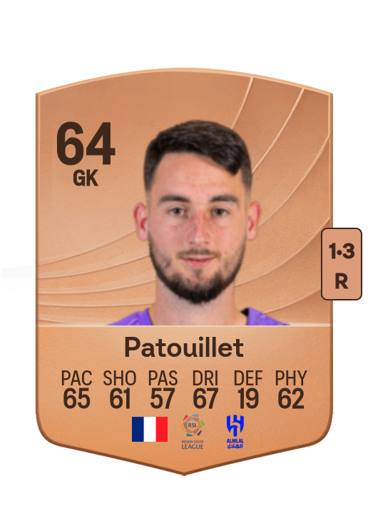 Mathieu Patouillet