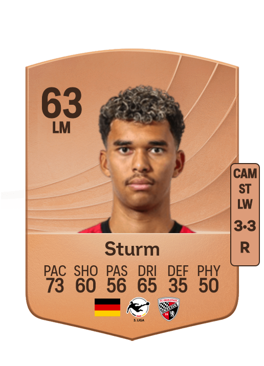 Yann Sturm