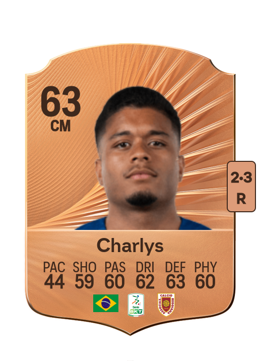Charlys Matheus Lima Pontes