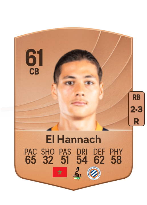 Naoufel El Hannach