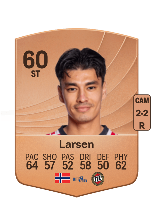 Heine Åsen Larsen