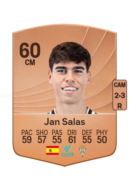 Miguel Jan Salas Franch