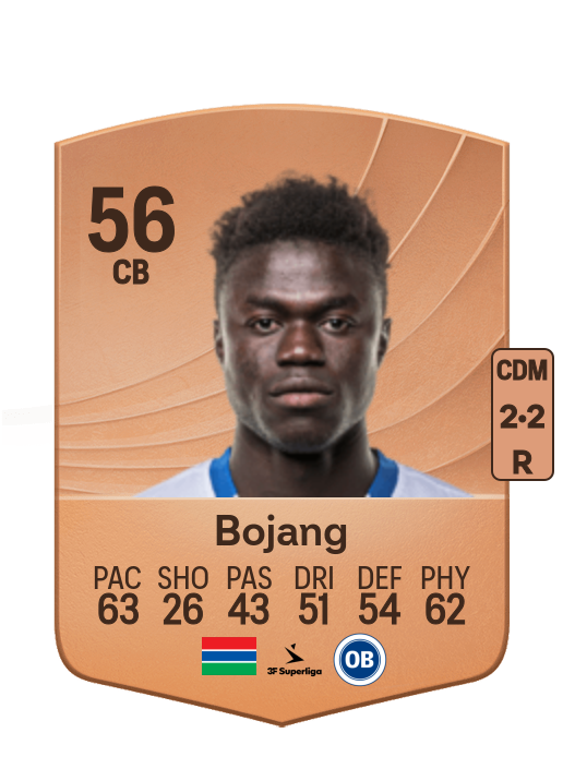 Yaya Bojang