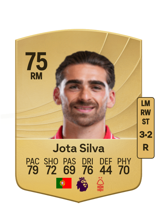 João Pedro Ferreira Silva
