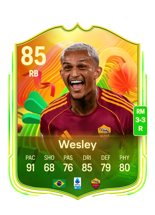 Wesley Vinícius França Lima