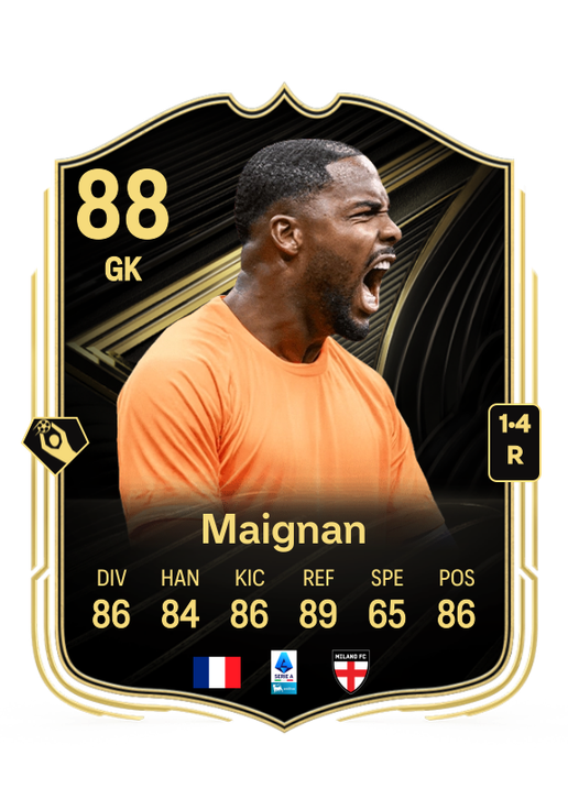 Mike Maignan