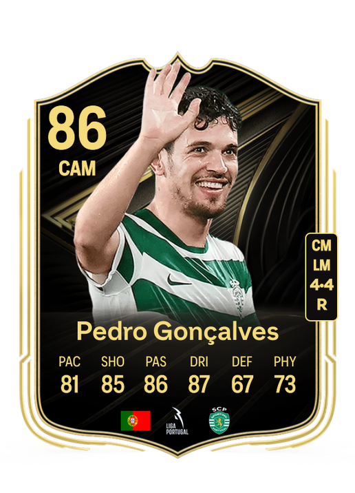 Pedro António Pereira Gonçalves