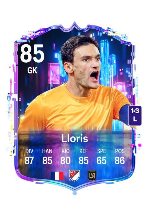 Hugo Lloris