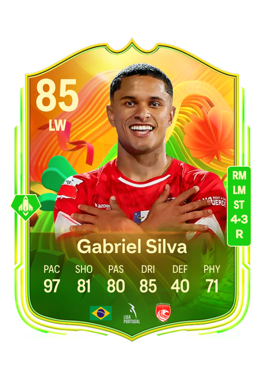 Gabriel Silva Vieira