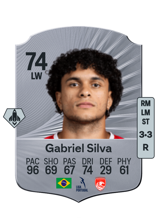 Gabriel Silva Vieira