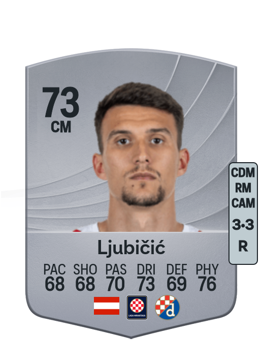 Dejan Ljubičić