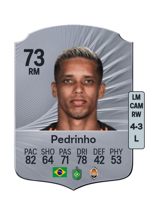 Pedro Victor Delmino da Silva