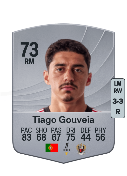 Tiago Maria Antunes Gouveia