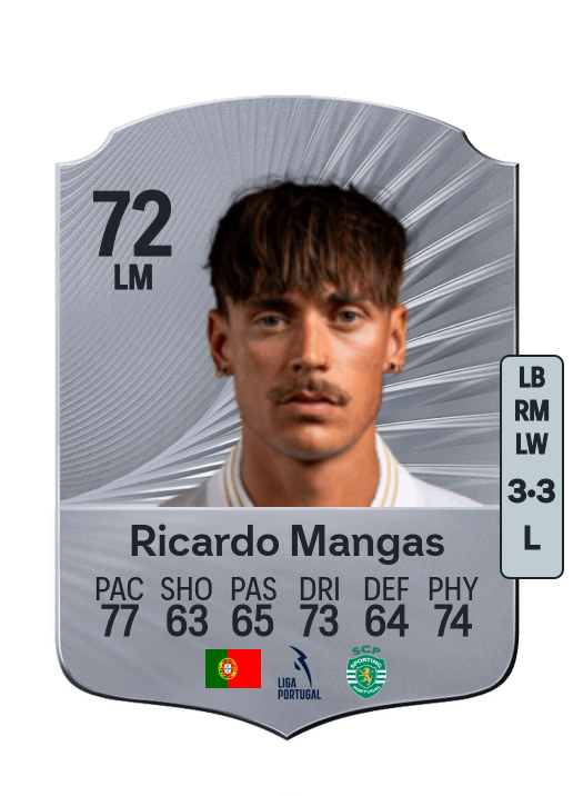 Ricardo Luís Chaby Mangas