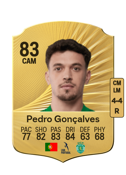 Pedro António Pereira Gonçalves