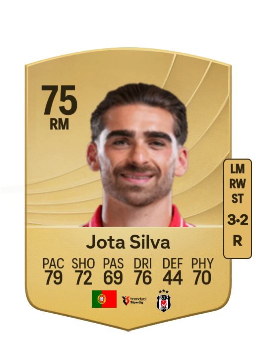 João Pedro Ferreira Silva