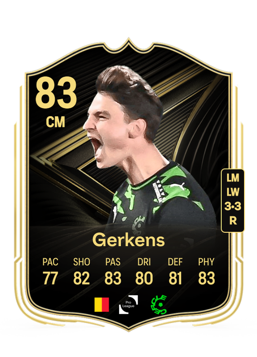 Pieter Gerkens