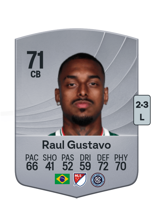 Raul Gustavo Pereira Bicalho