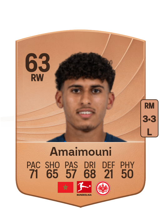 Ayoube Amaimouni