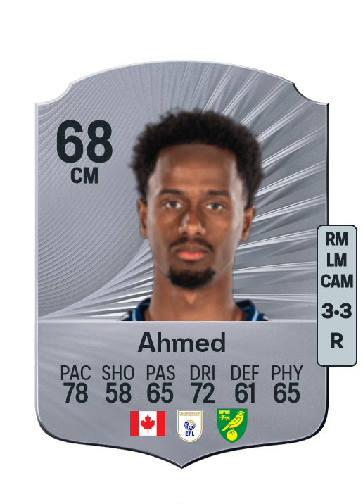 Ali Ahmed