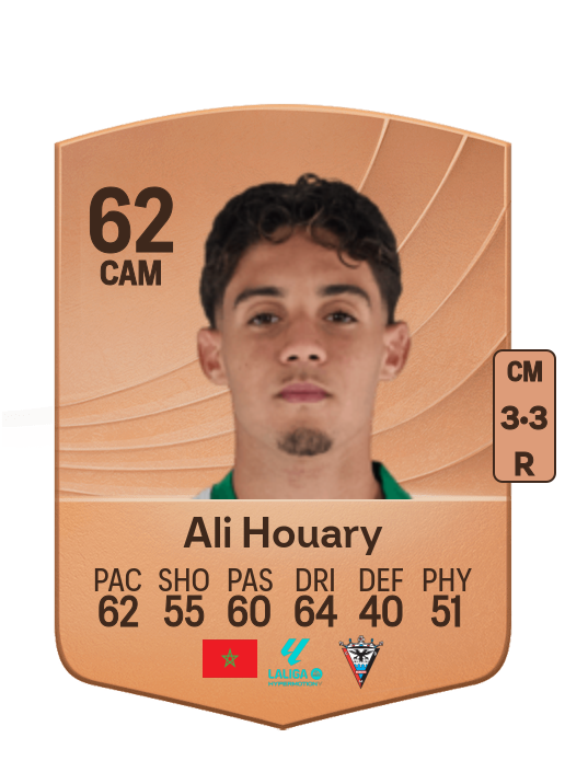 Ali Houary Jeddoub