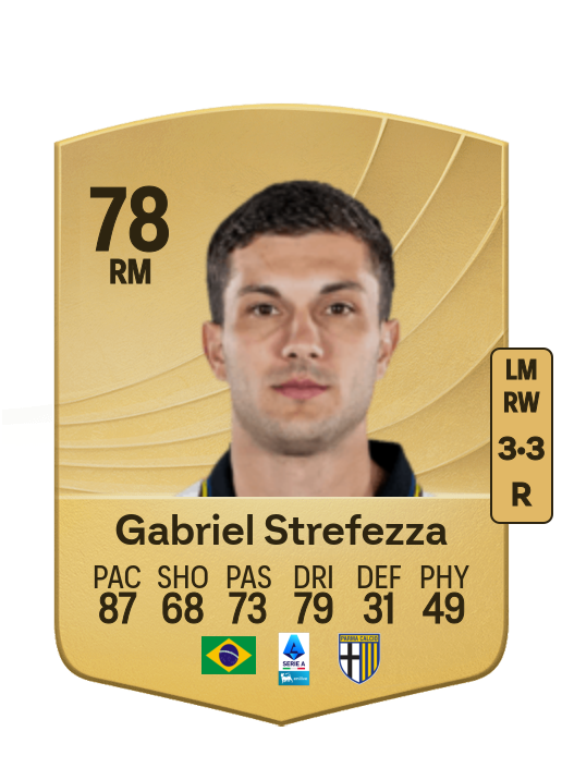 Gabriel Tadeu Strefezza Rebelato