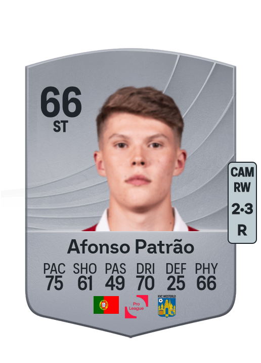 Afonso da Cruz Patrão
