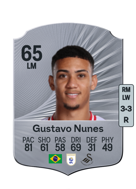 Gustavo Nunes Fernandes Gomes
