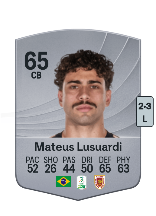 Mateus Henrique Vanelli Lusuardi