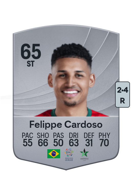 Felippe Cardoso dos Santos