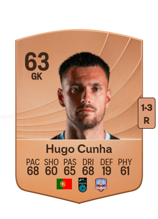 Hugo Alberto Pires Cunha