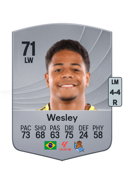 Wesley Gassova Ribeiro Teixeira