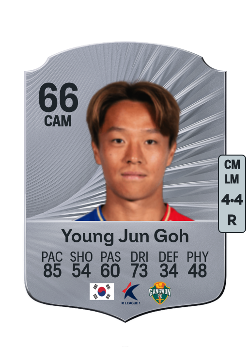 Young Jun Goh