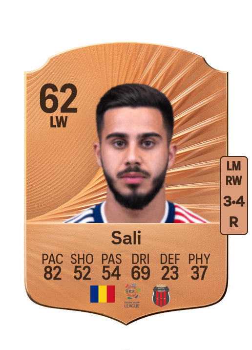 Enes Sali