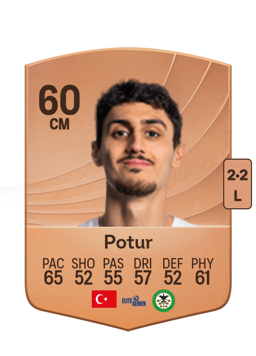 Aksel Baran Potur