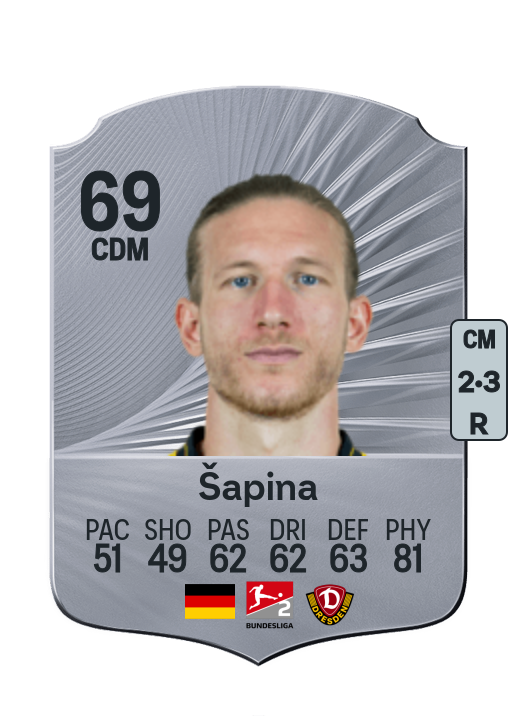 Vinko Šapina