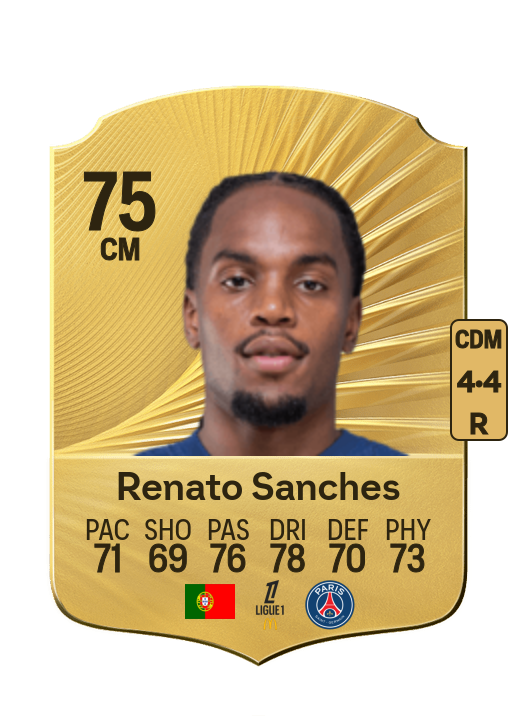 Renato Júnior Luz Sanches