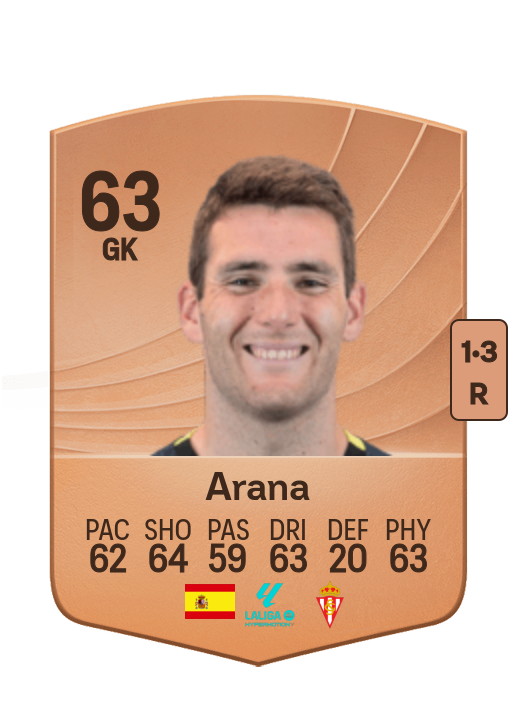 Egoitz Arana Aizpurua